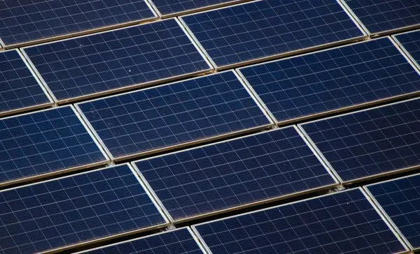 Close view of rows of solar photovoltaic modules.